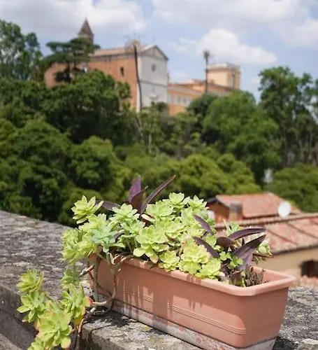 Trasteverina Chic House Roma